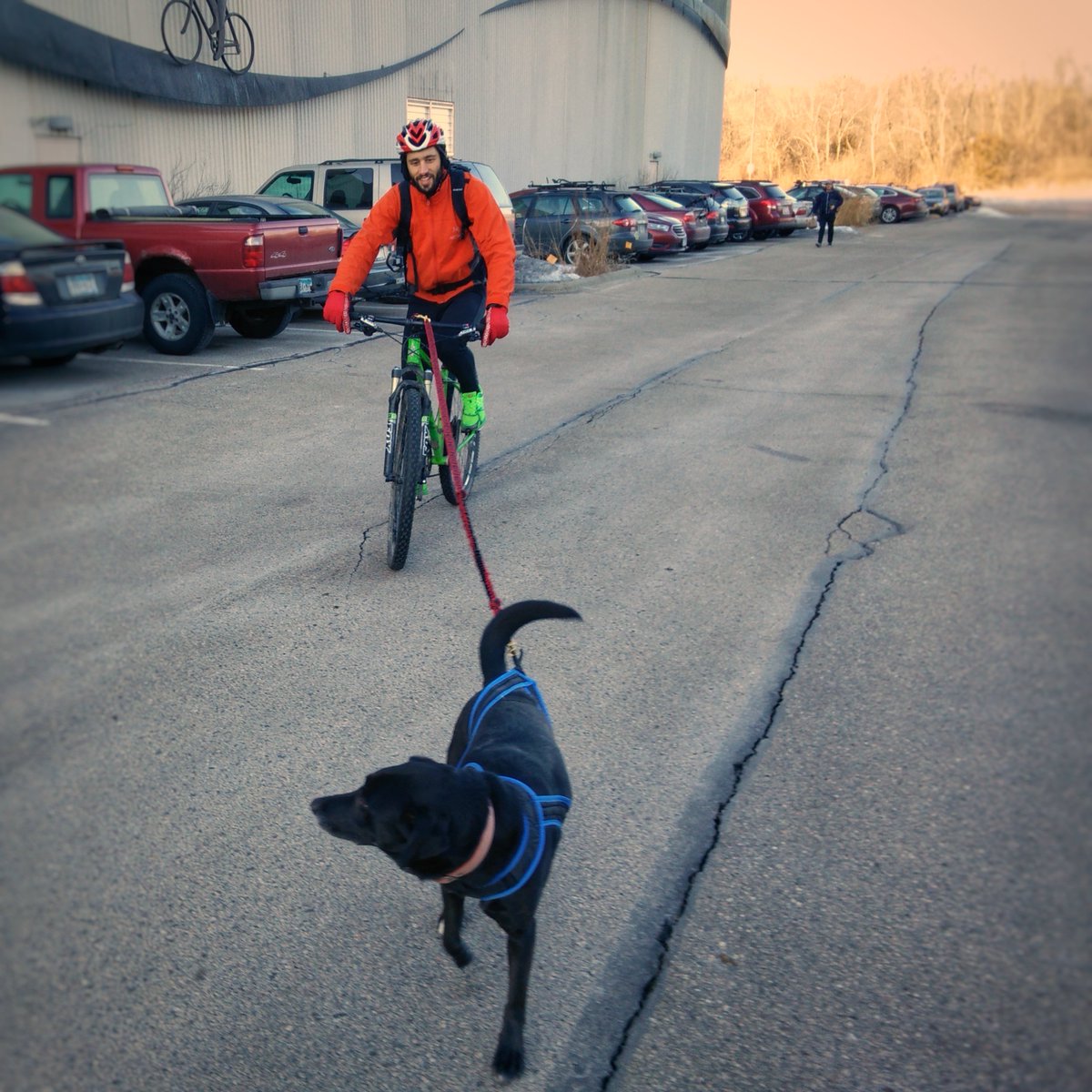QualityBike's tweet photo. Engineering Manager Luke Strauss & Denali on their 10 mile commute into Q-Central. Denali rides home w/a coworker. #dogsofQBP #commutebybike https://t.co/bmg6mGMCMH