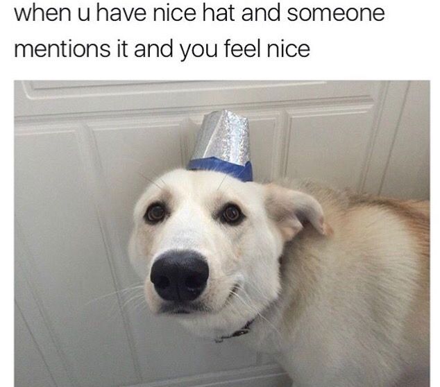 WholesomeMeme's tweet photo. https://t.co/NHut9nUy8b