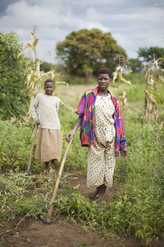 Smallholders’ contribution to #foodsecurity isn’t so small! Majority of the world’s calories produced small farms. bit.ly/2lLJffj