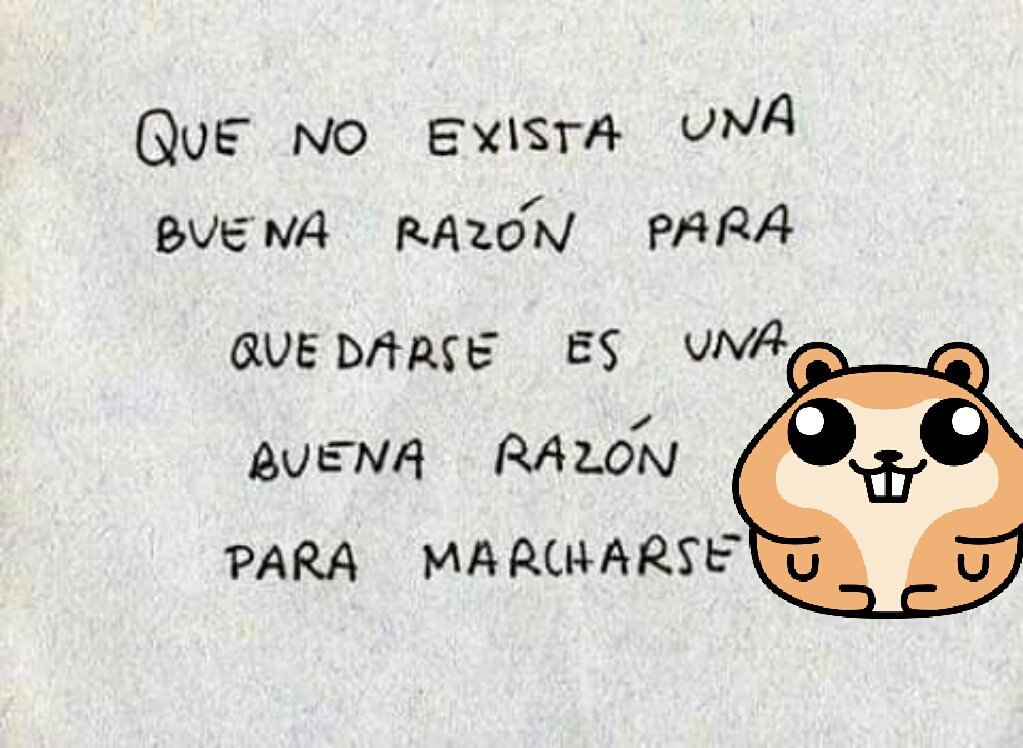 mickyBoyko's tweet photo. Buenas tardes !!! https://t.co/9Z1pyA6lzf