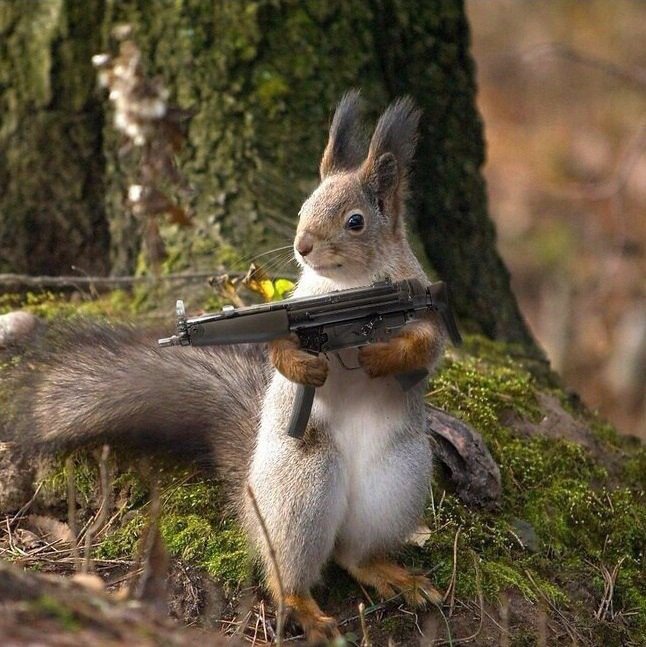 crazy_kutas's tweet image. Для всех нельзя быть пушистым – растащат на воротники