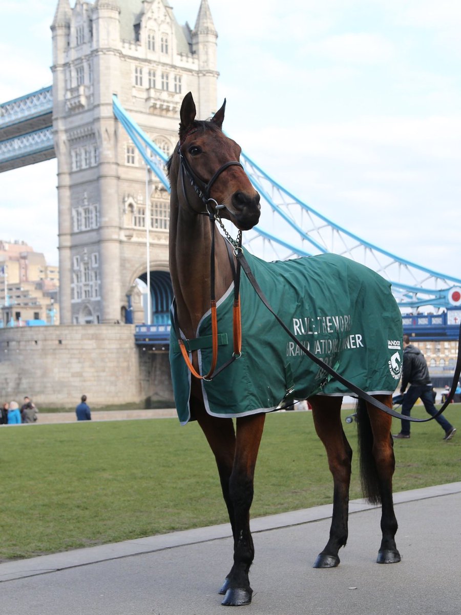 CorneliusRacing's tweet photo. #Aintree: love this shot of 2016 #GrandNational winner #RuleTheWorld in #London to mark launch of the weights for this season's race https://t.co/wsySXa4IvV