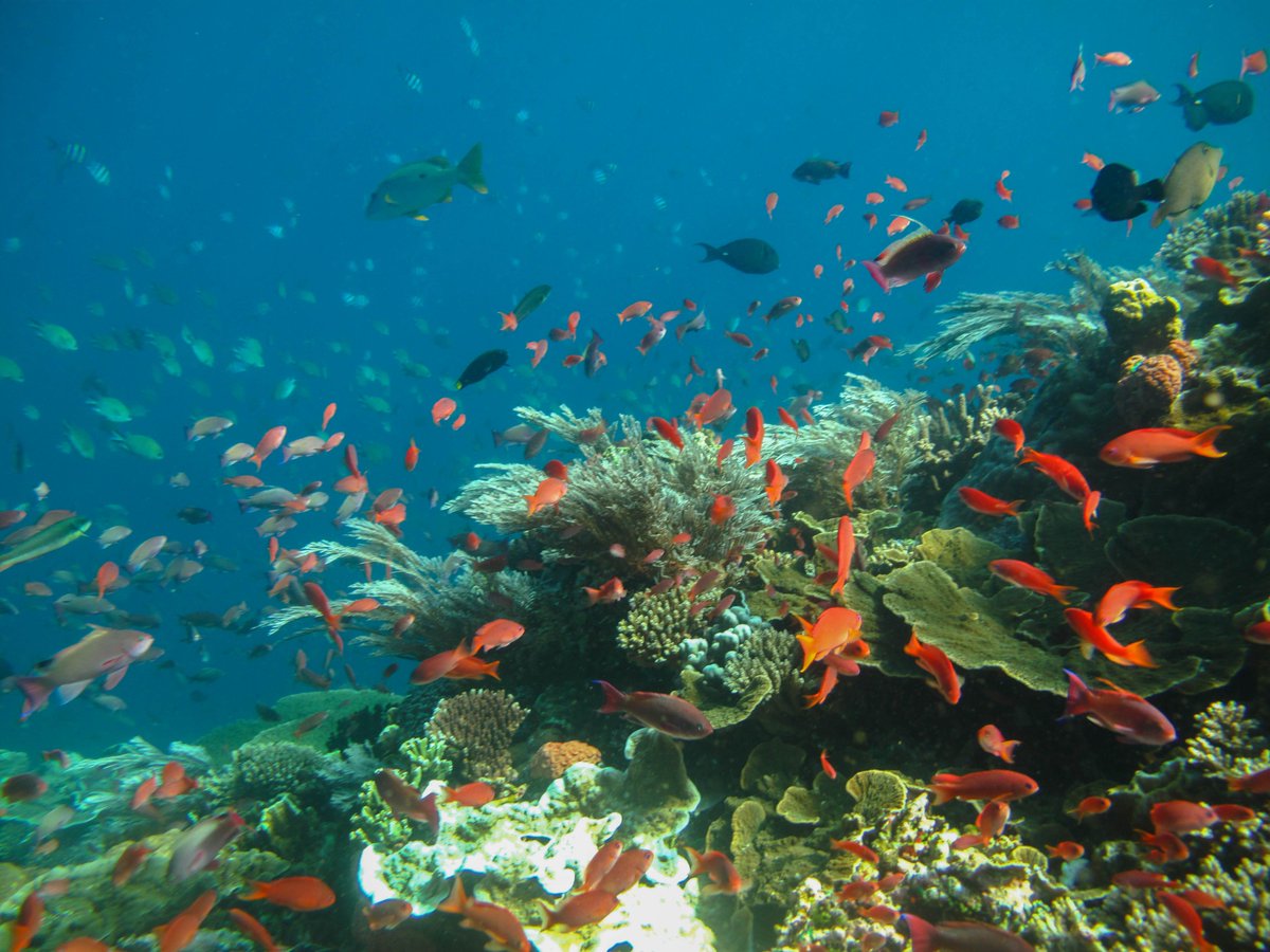 New paper: Social &amp; ecological effectiveness of large #MPAs, 
out now in #GEC goo.gl/4rk8Mj