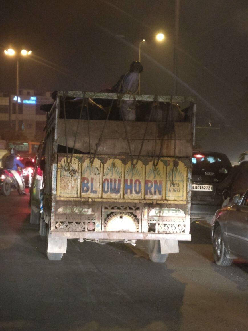 devikasrimal's tweet photo. Where is God/superman/animal police when you need him? Poor cow crammed in a truck with no headspace #whereshumanity #cruelty @PetaIndia https://t.co/xYVUSIRFsl