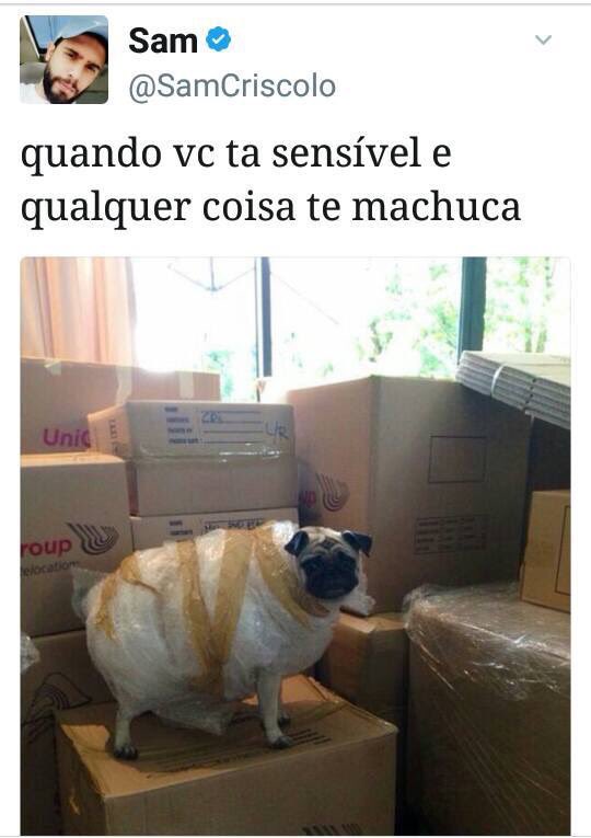 florbrito's tweet image. 