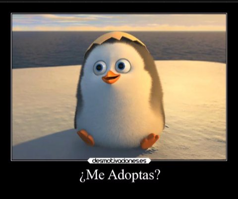 *SoyUnPanda* 🐼 Camy tweet media