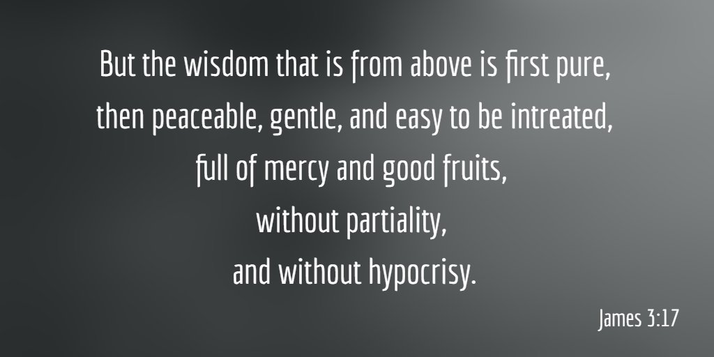 AChristLife's tweet photo. But the wisdom that is from above is first pure...

James 3:17 https://t.co/gc8RGdQE2i