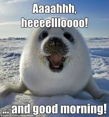#happyhumpday! @ThePortalMag @gabycomeaumusic <a href="/SINAgency/">SIN Agency</a> @TLLCBand <a href="/bsr_sarah/">sarah_</a> <a href="/Pandemik9/">Brooke Chiasson</a> <a href="/Merlin878/">merlin</a> <a href="/LiveSage/">Sage Rhoades</a> <a href="/rollins42/">Sean Rollins</a> <a href="/lizmalcolm1983/">Elizabeth Bowman</a>