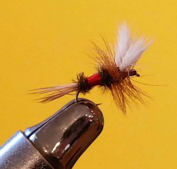 2guysandariver's tweet photo. When did you last cast the trusted Royal Coachman? https://t.co/dUNXiZb7vB #tyingflies #flyfishing #attractorpattern #oldiebutgoodie https://t.co/SATa7mFHJL