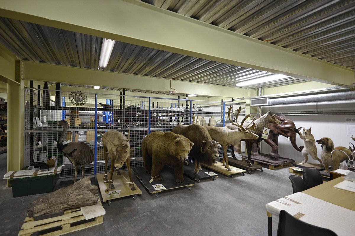 We're recruiting for a new Natural Sciences #curator! Would you like to join us? birminghammuseums.org.uk/about/careers  #museumjobs