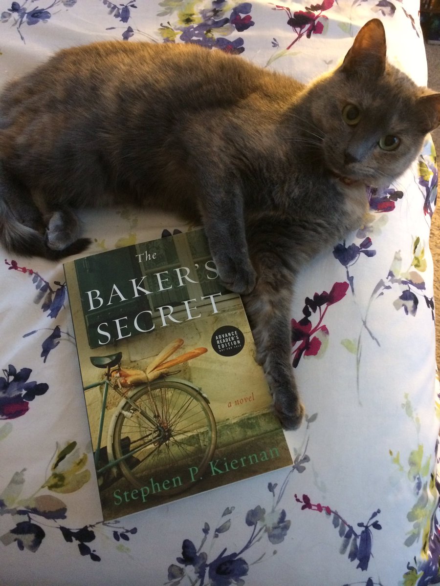 Best perk of bookselling? Early copies of amazing books like this one by <a href="/StephenPKiernan/">Stephen Kiernan</a> The #bookstorecat agrees!