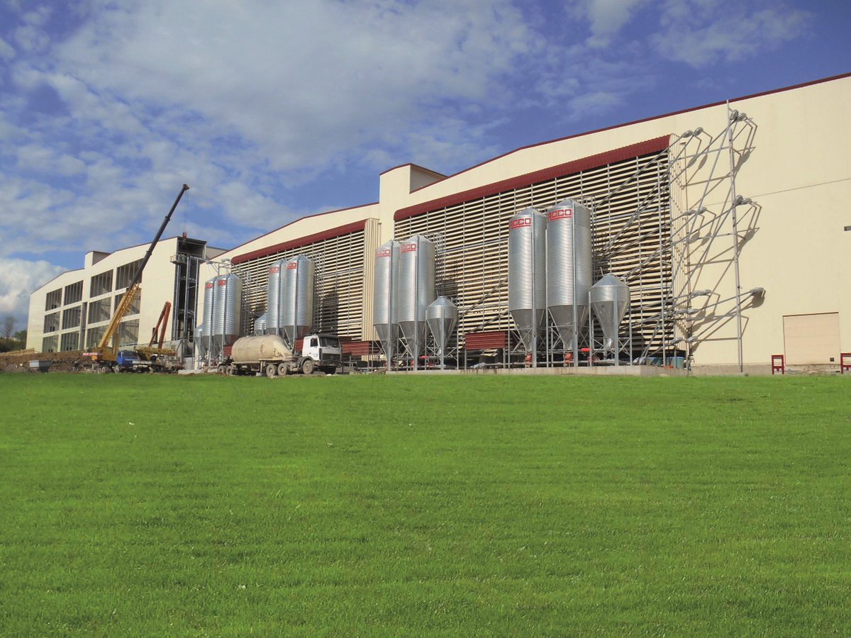 More than one million laying hens in one shed only!