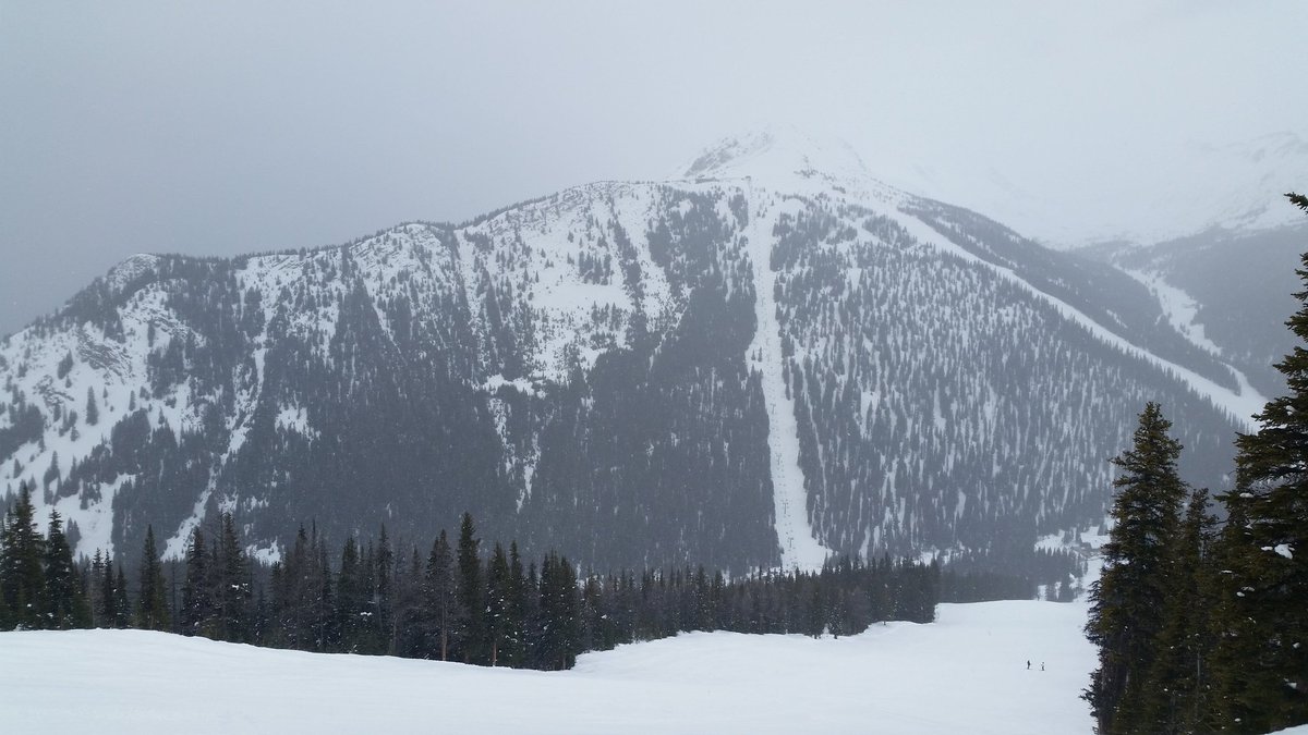 michaelryip's tweet image. Please don't die, please don't die #itisprettythough #ifyouregonnago