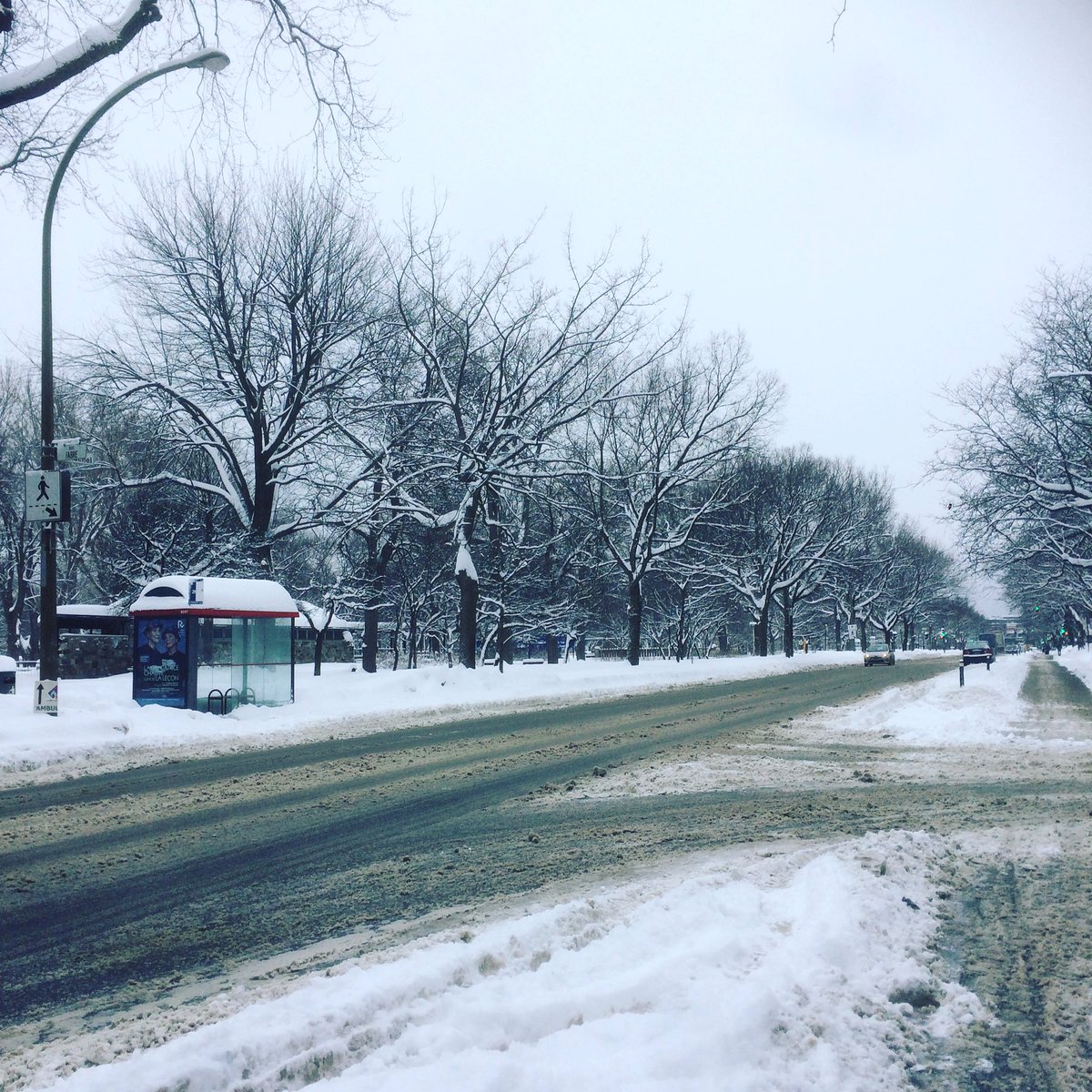 _amyblackmore's tweet photo. I love my city so much. #snow #mtlrocks #hardcore https://t.co/f3RoT6A58T
