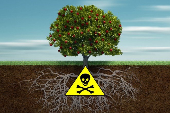 Only4RM's tweet photo. #RevoteRestoresUSA
#RevoteRestoresUSA
#RevoteRestoresUSA
#RevoteRestoresUSA
#RevoteRestoresUSA
The FRUIT of a POISON TREE is POISON. ☠️🍎 https://t.co/jFSGMOFGNR