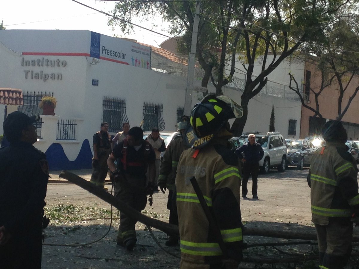 AQUILESBAESA3's tweet photo. @vecinos_tlalpan el lunes pasado se desgajó  la rápida respuesta  de Emma. Reinstaló luz. Retiro el árbol que ya generaba mucha inseguridad https://t.co/xs8EEi2khB