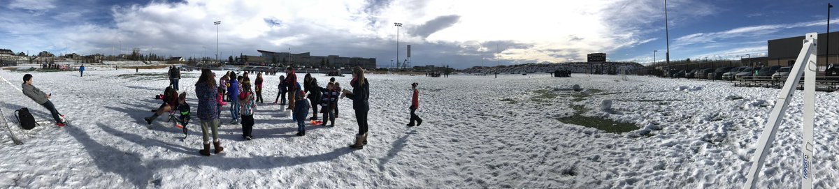 Rundle Primary tweet media