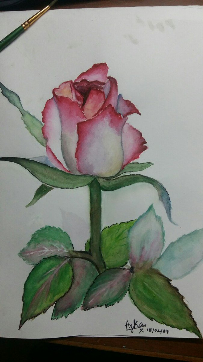____azkak's tweet photo. Definitely the leaves could have been better but anyway it was nice try ! 🤔  #watercolor https://t.co/hBJDQNn0Bn