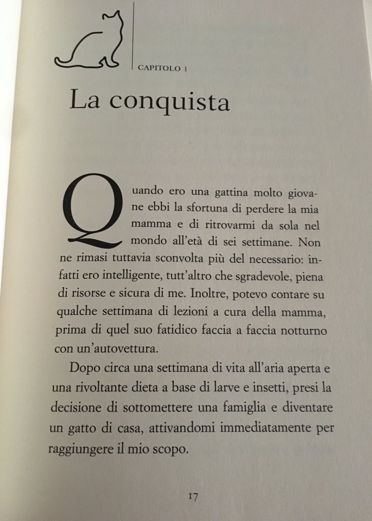 MaggicaPolly's tweet photo. #incipit #filosofiafelina #IlGrandeMiao https://t.co/AGjYYBFL2m