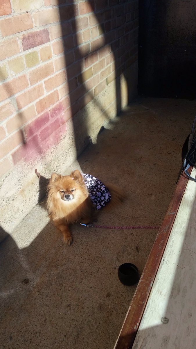 I spy <a href="/JeremiahBitsui/">Jeremiah Bitsui</a> at <a href="/Zendo413/">Zendo Art and Coffee</a> When will I get a puppy hug?