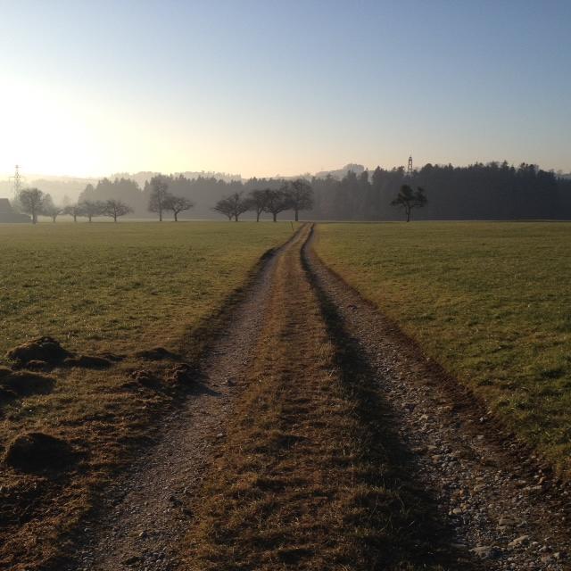 MirjamDomig's tweet photo. #nature #way
Wohin führt der Weg? https://t.co/C1z5sBejE1