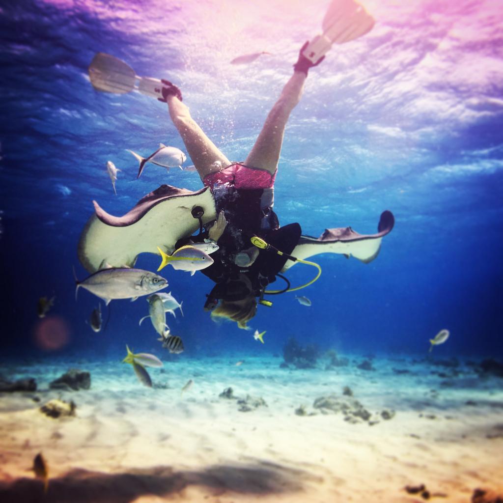 Sign up for our peak performance #buoyancy #stingray ballerina distinctive specialty course #diving #caymanislands