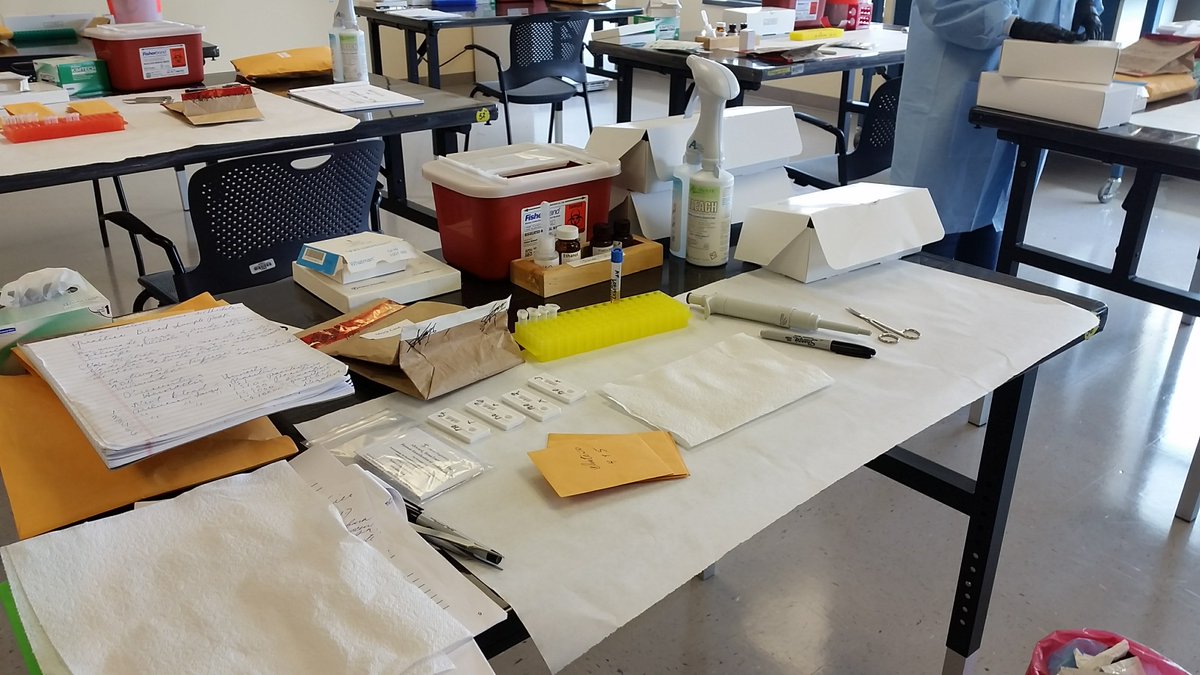nfstc's tweet photo. Up in the #DNA lab - the @StateINL students are #bioscreening mock cases. #Training #forensicscience https://t.co/mHsqacnfFJ