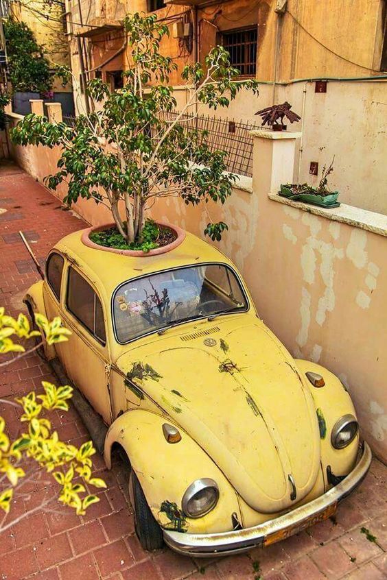 Now that's one stylish plant pot.