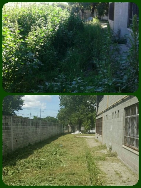 vivi_torcuato's tweet photo. ANTES Y DESPUÉS | Limpieza por el Inicio de Clases #AyudaInstituciones #EEST4 #Torcuato_Este @ZamoraJulio @jmpaesani https://t.co/QeSoR2qvzF