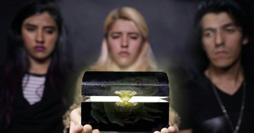 PPteamKarren's tweet photo. Nuevo vídeo polinesios les tenemos que decir algo😢😢 https://t.co/amNjSK0hO1