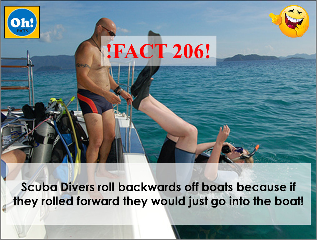 Oh_factz's tweet photo. !FACT 206! #scuba #divers #water #swimming #JUMP #jumpoff #funny #hilarious #jokes #ohfacts #JokeoftheDay #fun #people #laughter #sea #ocean https://t.co/gWYUCBM828