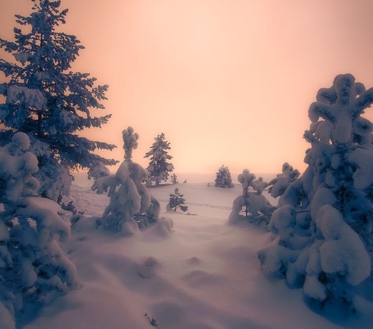 yourvisualdope tweet picture