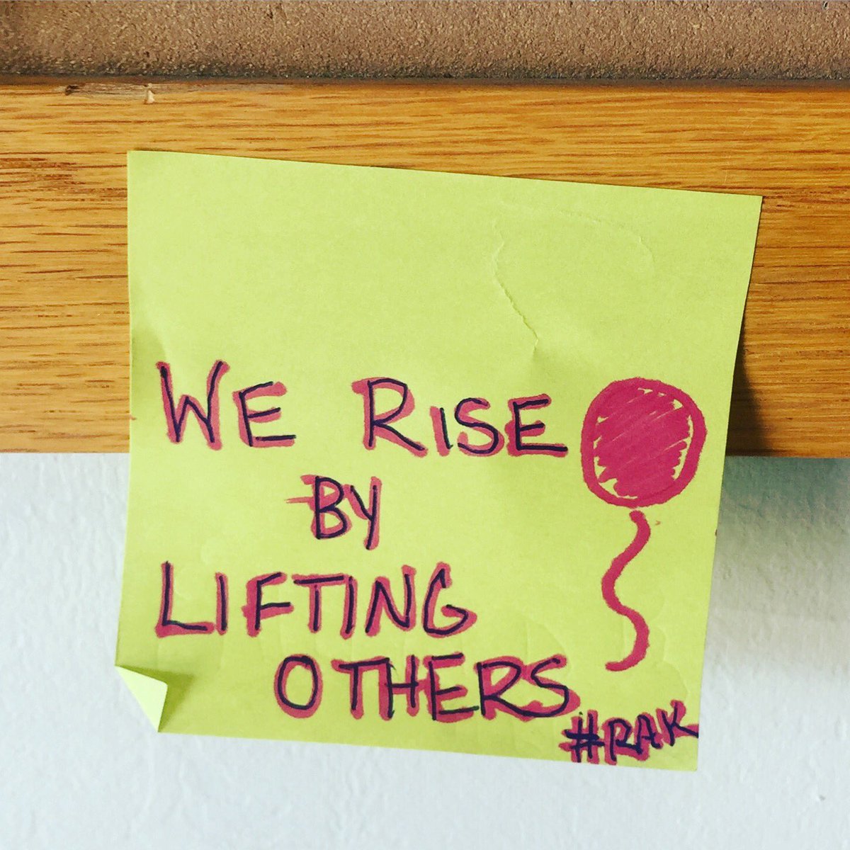 MonkeyDoProject's tweet image. "We rise by lifting others" KINDNESS DAY 3: ✔️ #RAKWeek2017 #kindness #monkeydo