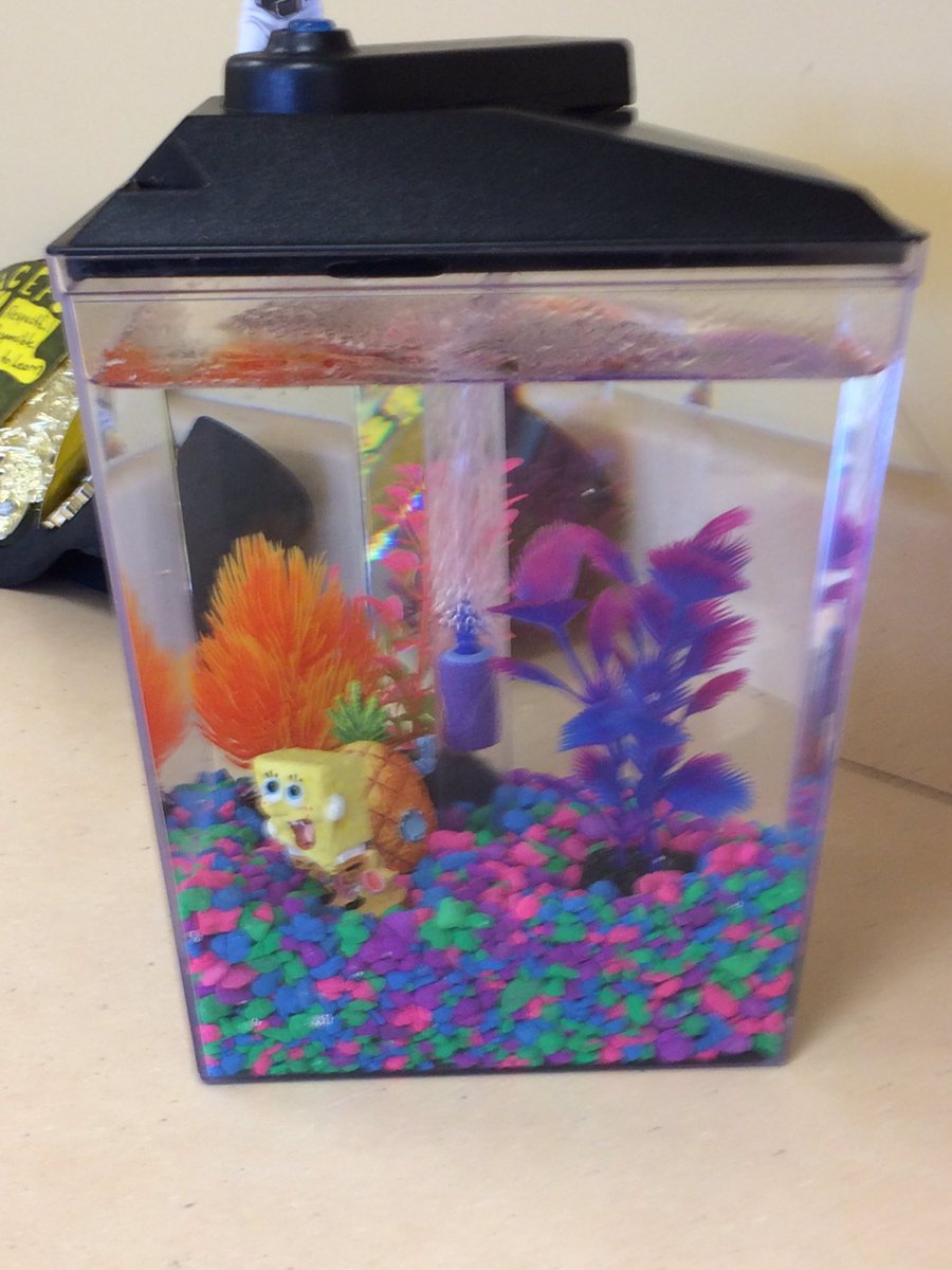 CleanWaterRoth's tweet image. My room is a legit zoo. Going to me some excited learners in the AM. #SoWCPSgaveAzoo #EmbraceYourInnerNerd #PangbornProud