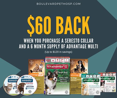 SchwartzFoundat's tweet image. Now in STOCK!! #Seresto Flea &amp;amp; Tick Collar! $60 back when you purchase Seresto Flea &amp;amp; Tick collar &amp;amp; 6 month supply of #AdvantageMulti