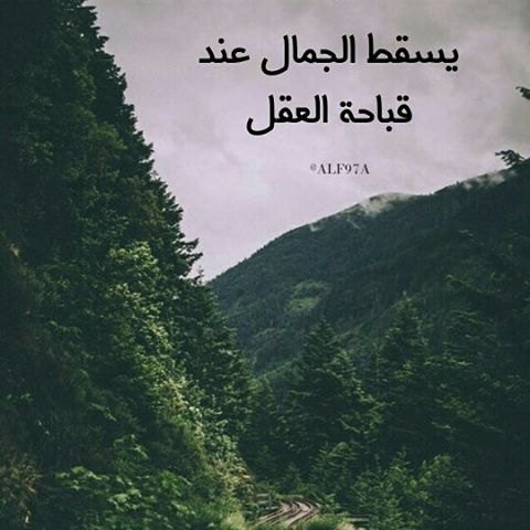 7lo_allyali's tweet photo. جمال،،، العقل،،، بالفكر

و
👇 https://t.co/O1bfhhJWdk