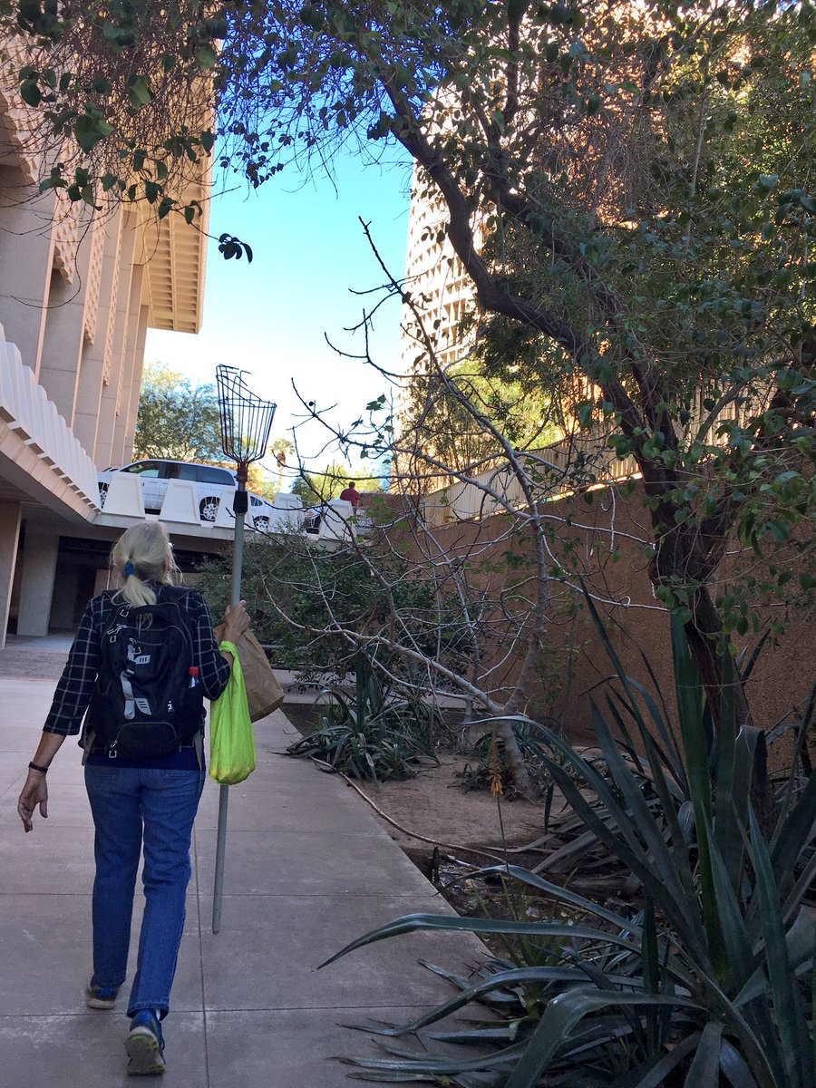 LeadOnClimate's tweet photo. Checking out the bounty of @ASU's edible landscaping. #ClimateSummit17 https://t.co/HsLad4J3lb