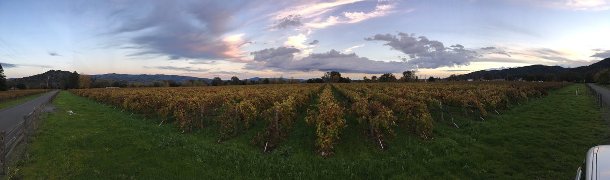 MiraWinery's tweet photo. A New Home for Mira Winery! https://t.co/DN27PXHrhj #WineWednesday #napawine #napavalley https://t.co/mzOoJE9Sh8