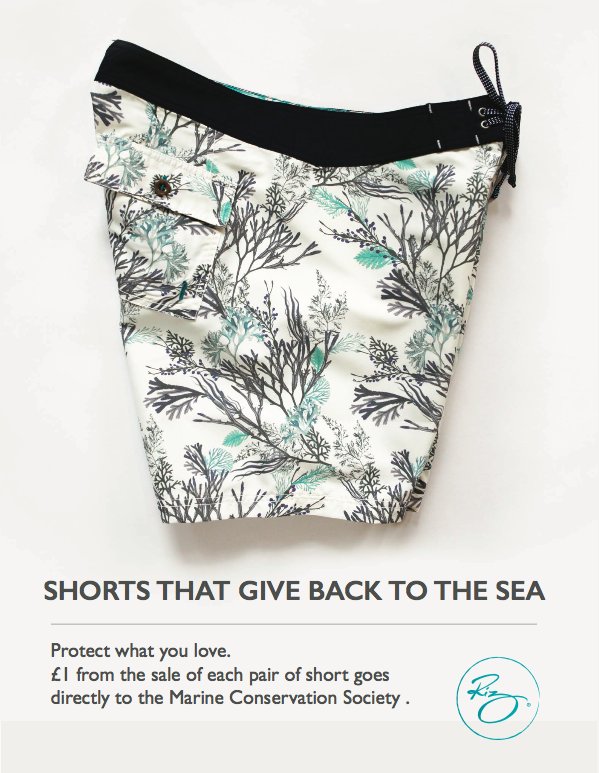 Whalefest tweet media