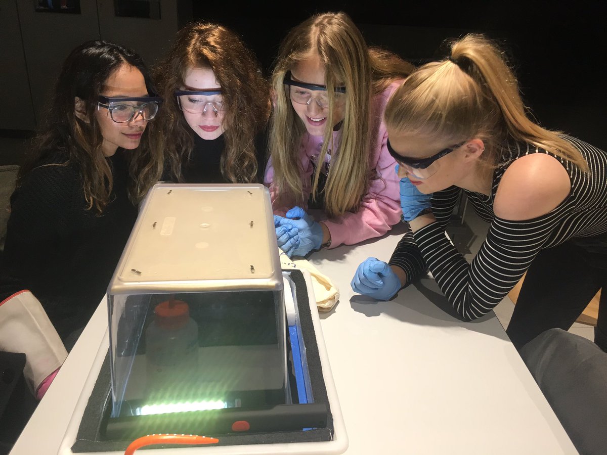 TGSTEM's tweet image. Students performing experiments at #CERN #ScoolLAB, such as a cloud chamber, X-Ray scanner and Electron tubes 💡- amazing day!