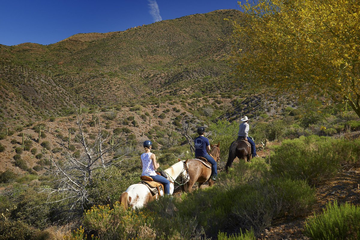 Beautiful day for a #horseback ride. With over 15 miles of #trails, a new path awaits. Hope everyone had a wonderful #Valentine's Day