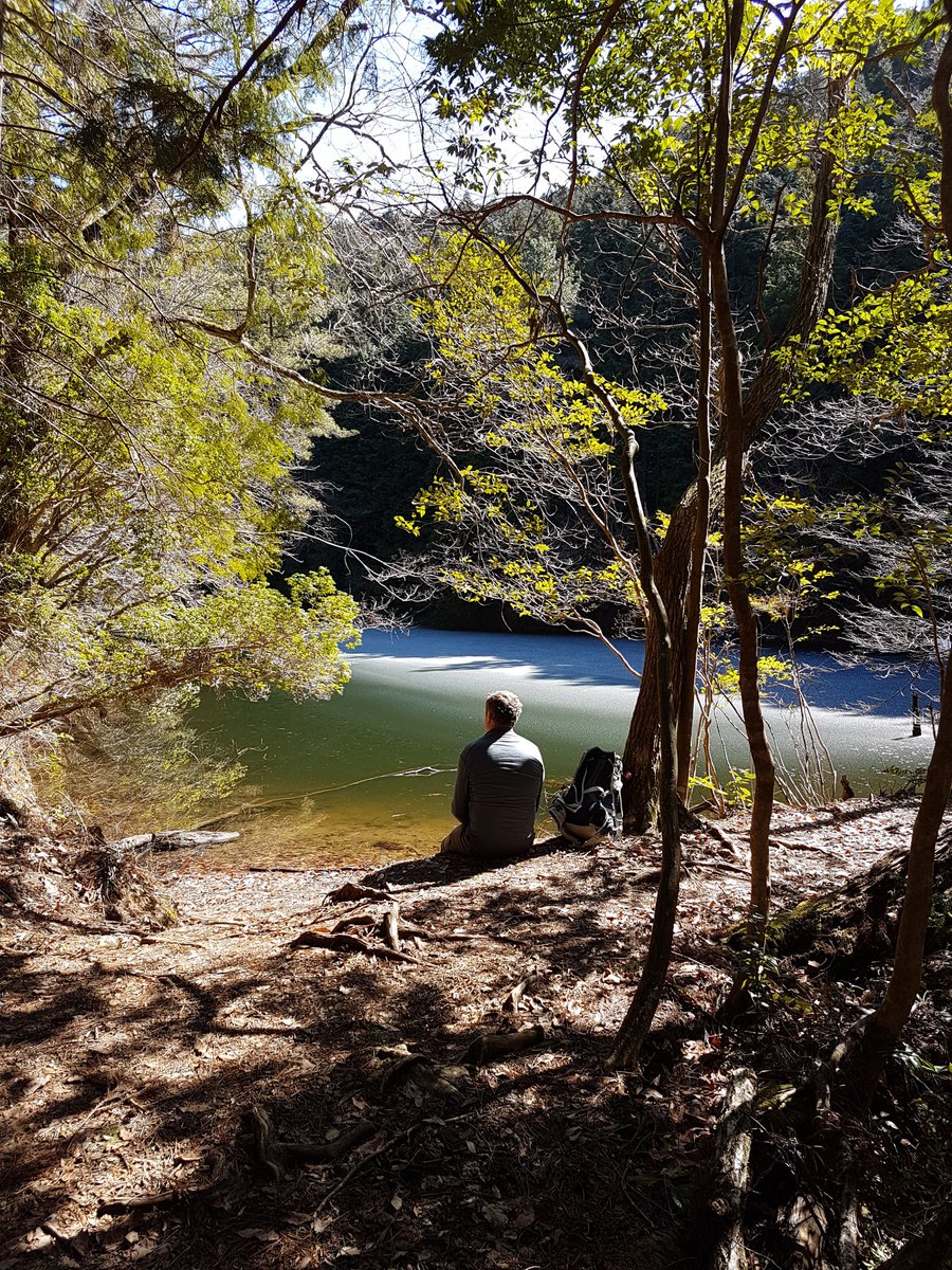 Freedom is awareness of all the voices that tell you which way to go and choosing the way that resonates deeply within.