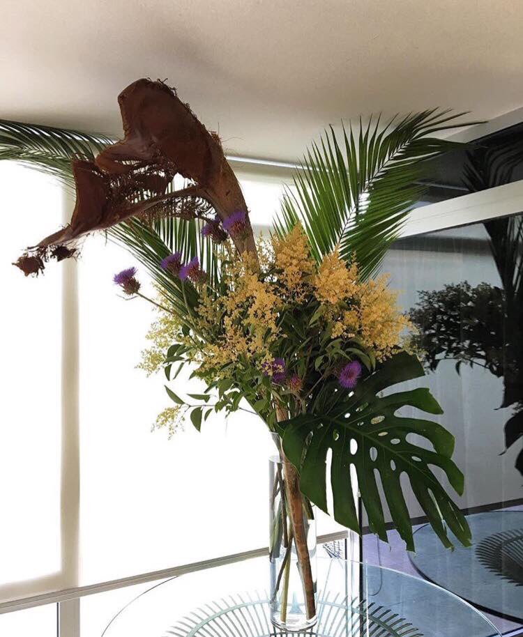 AgustinaBrizzi's tweet photo. · : Agustina Brizzi : · #AgustinaBrizzi #Deco #Flowers https://t.co/IW2cd752CG