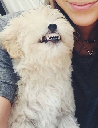 cobaltgirlie's tweet photo. @lucyhale He has a very beautiful smile. https://t.co/7VA9H0nbdF
