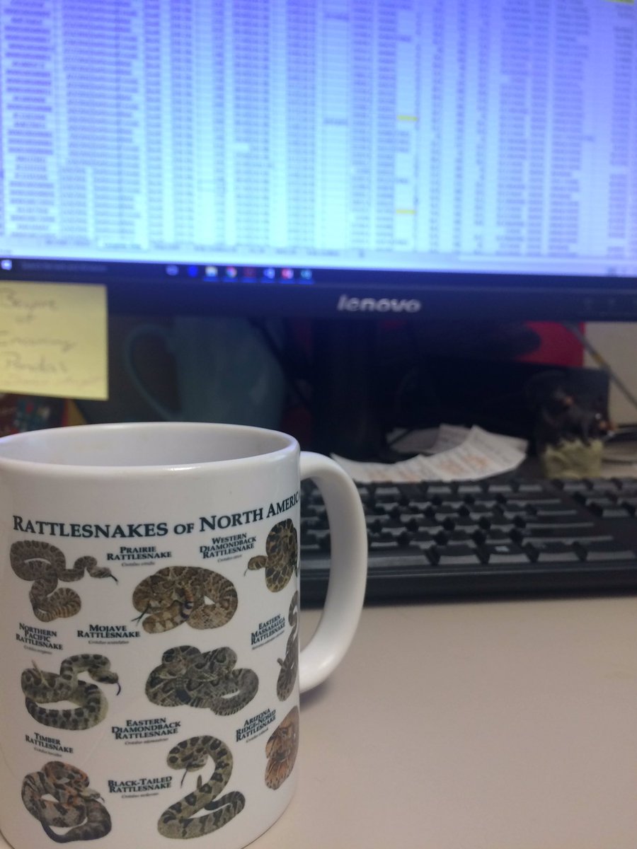 jmaids4's tweet photo. Killing spreadsheets while sipping coffee out of my bad ass #rattlesnake of N. America mug. Might as well tweet about it 😎🐍#gradscool https://t.co/Qm9gSr4Caq