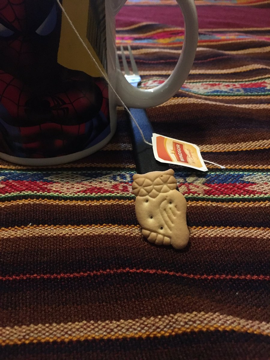 miniduffderek's tweet photo. #DerekJr.'s speight of tweets finishes with his discovery of himself in biscuit form #BolivianBiscuits π¦πͺπ§π΄ https://t.co/LoppQQhjgT