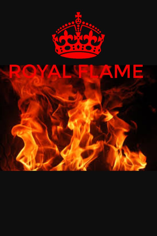 gamecrazy_flame's tweet image. 