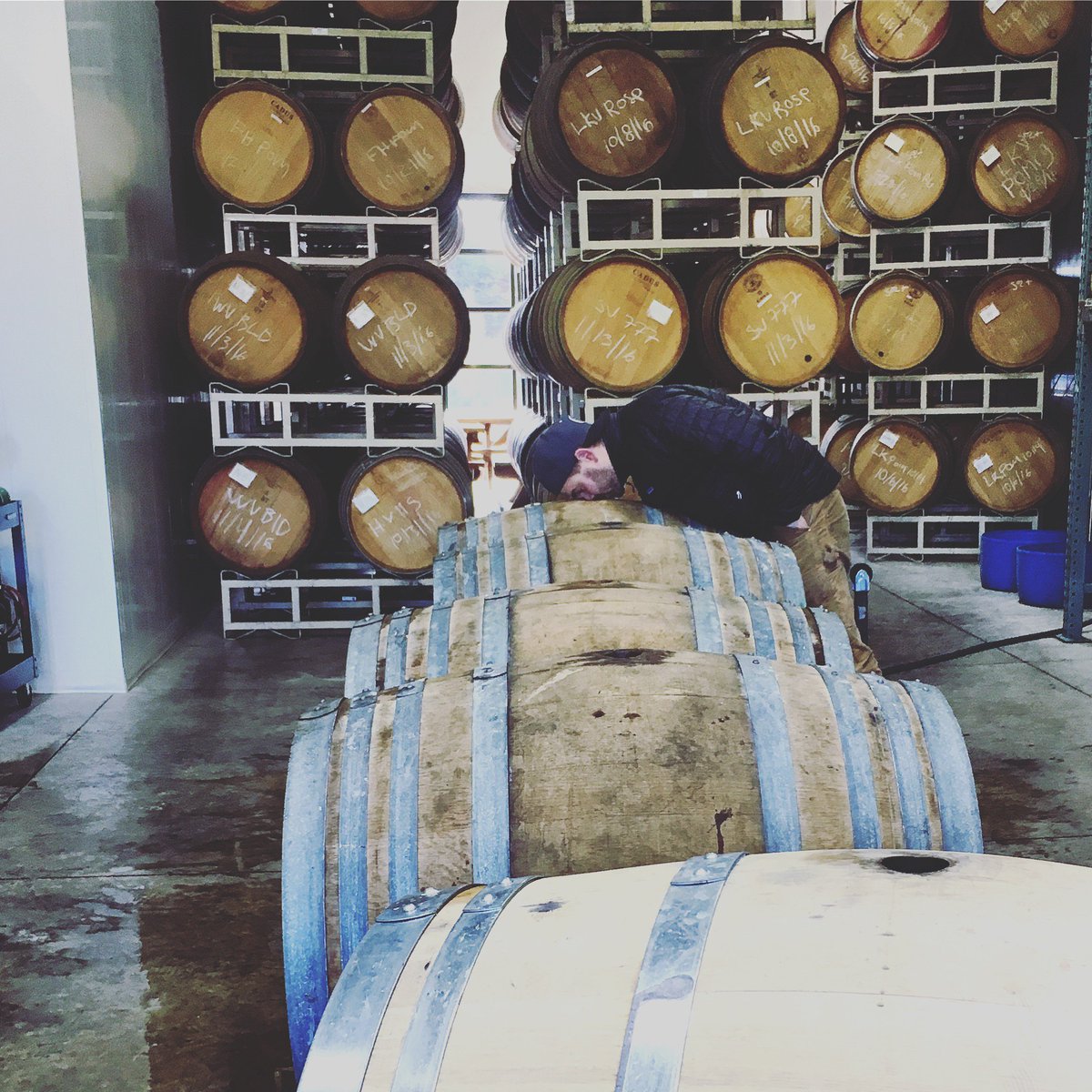 purplehandswine's tweet photo. Cody Wright, our winemaker, smelling barrels as we blend our 2016 @purplehandswine #LatchkeyVineyard #chardonnay. #drinkhistory #drinkpinot https://t.co/kM7kYIoyWR