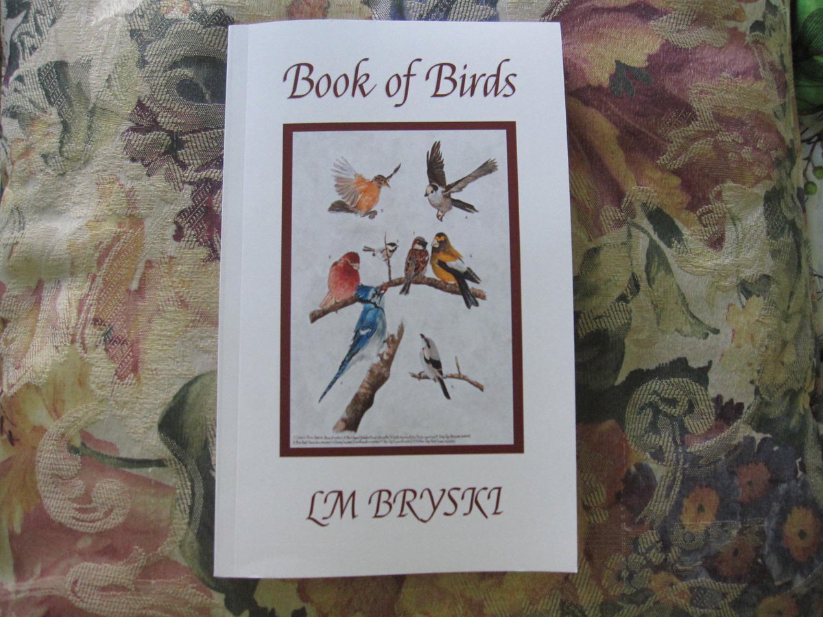 tonidockter's tweet photo. "Thinking about books was like someone raining lollipops all over me." From "Book of Birds" by LM Bryski. Great line. Great book. Loved it! https://t.co/L6K2lXgEFM