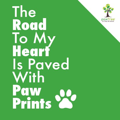 multibra.in/7s7x3

Return the love to your pet...feed Pawtree.